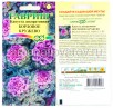 Семена Капуста декоративная однолетник Бордовое кружево 0,05 г цветной пакет (Гавриш) 