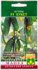 Семена Огурец Букет F1 10 шт цветной пакет годен до 31.12.2029 (Манул) 