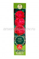Роза чайно-гибридная Аскот малиновая саженцы (Россия)