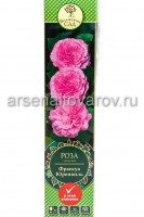 Роза плетистая Франсуа Юренвиль розовая саженцы (Россия)