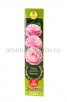 Роза Английская шраб Констанс розовая саженцы (Россия) 