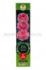 Роза чайно-гибридная Визион розовая саженцы (Россия) 
