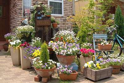 От участка до балкона: как правильно выбрать кашпо для выращивания цветов и вазоны для сада?